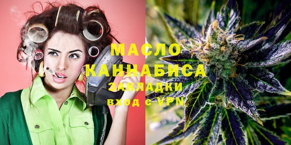 хмурый Новозыбков