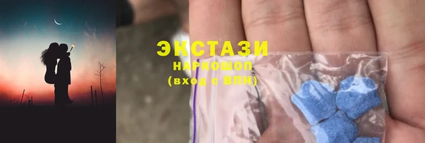 хмурый Новозыбков