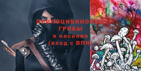 хмурый Новозыбков