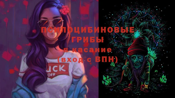хмурый Новозыбков