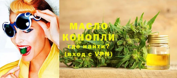 хмурый Новозыбков