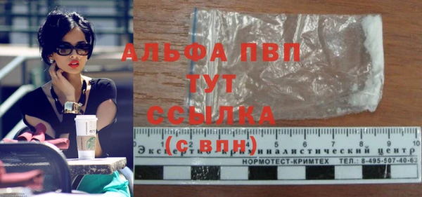 хмурый Новозыбков